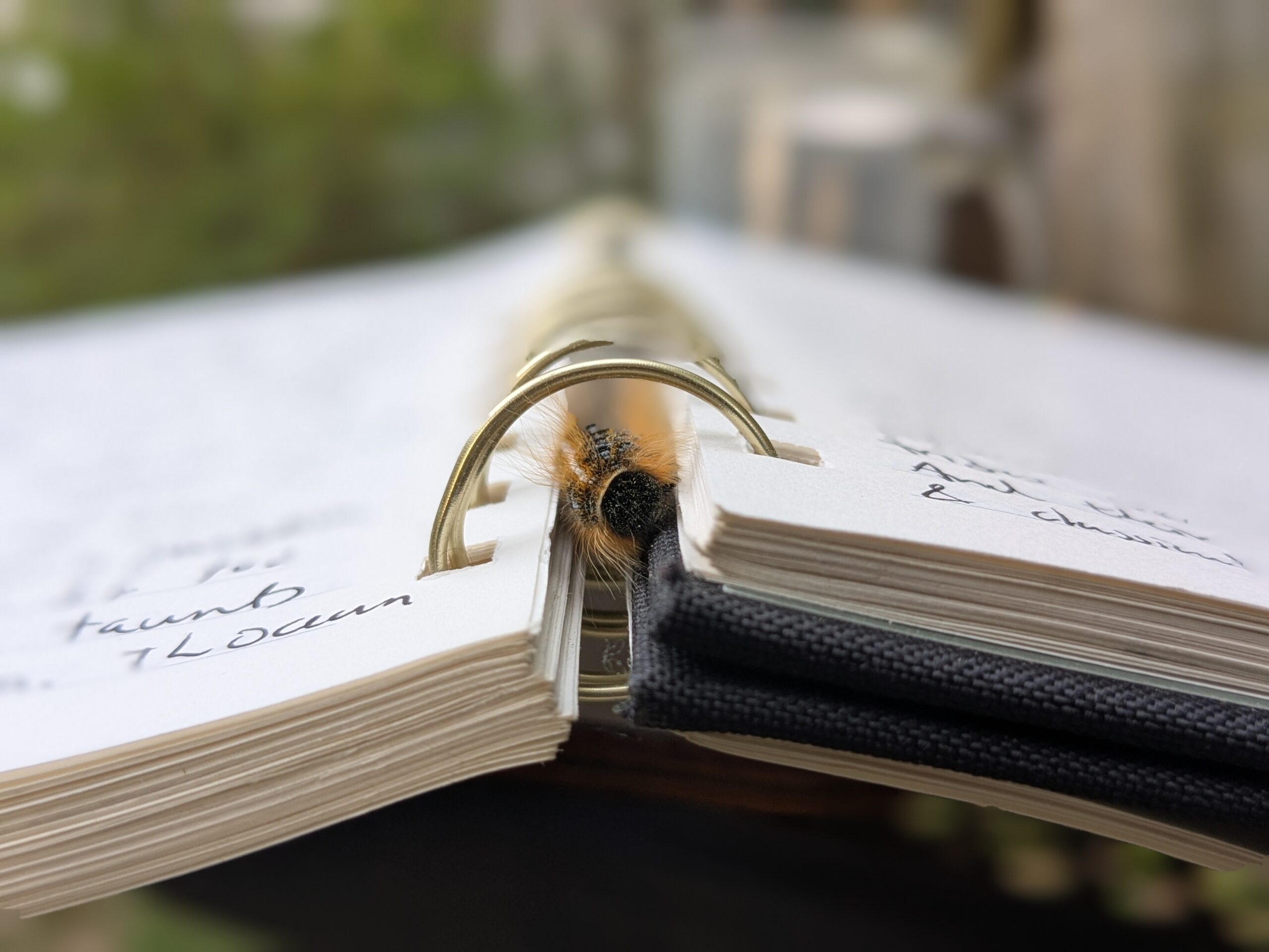 Have You Hugged Your Poem Today?  (Who Are We Writing For?)